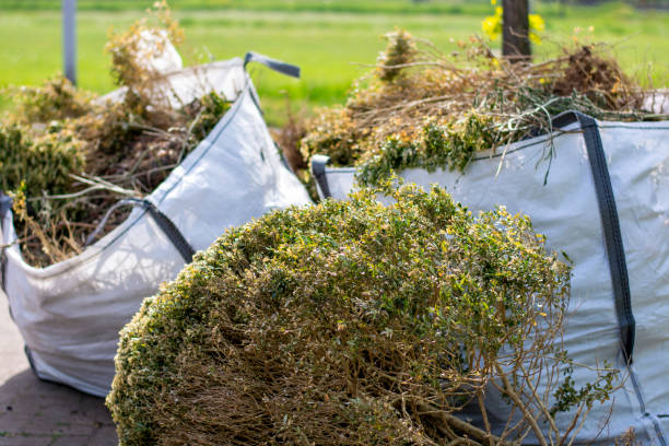Best Same-Day Junk Removal  in Mount Penn, PA